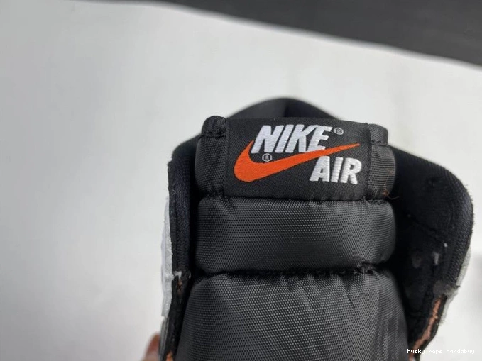 Rep Husky Orange 555088-180 Electro Retro Air High Jordan 1 0711